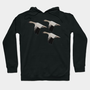 Snow Geese Trio Hoodie